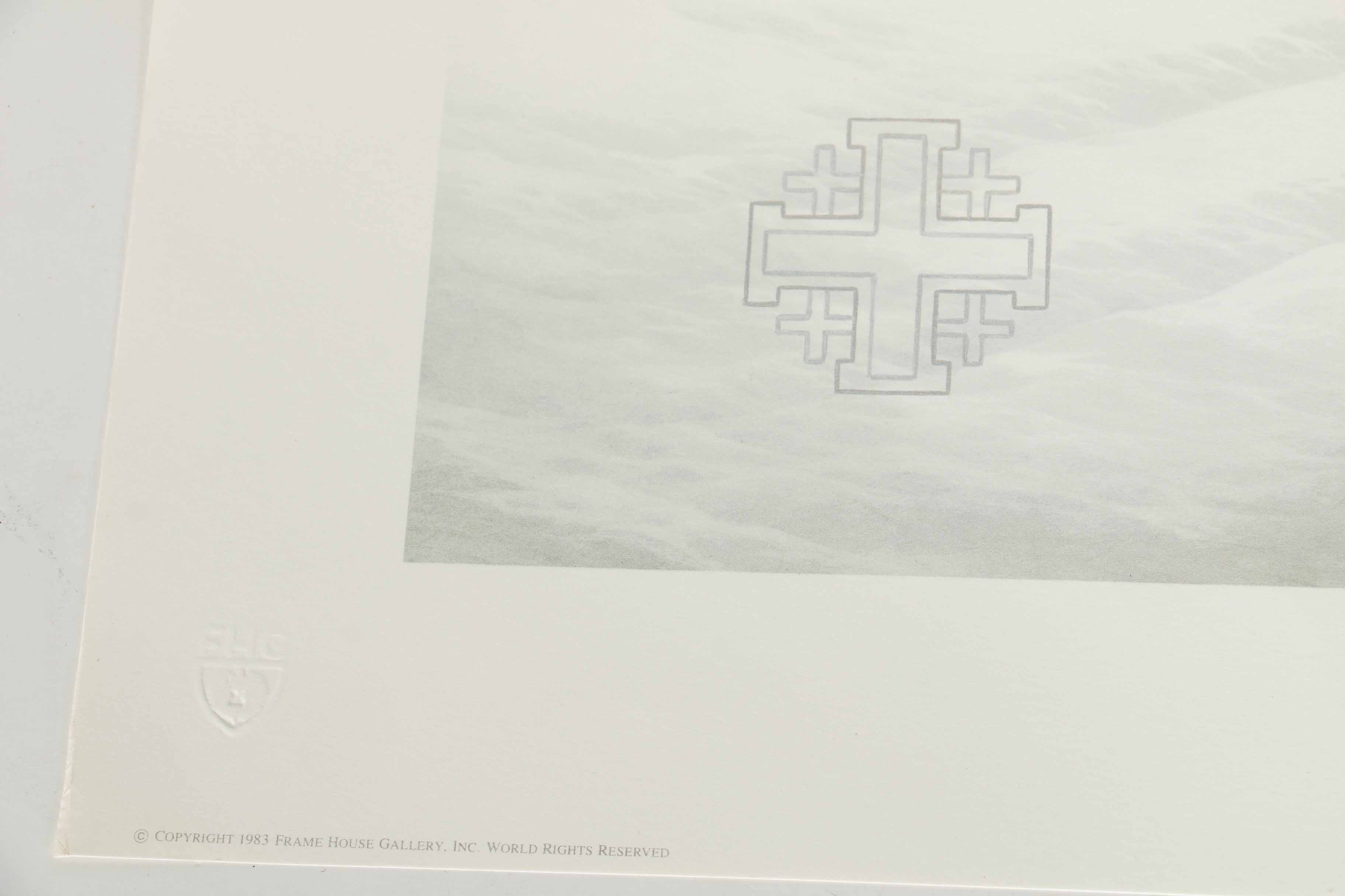 Peter Skirka Signed Limited Edition Big Cat Prints