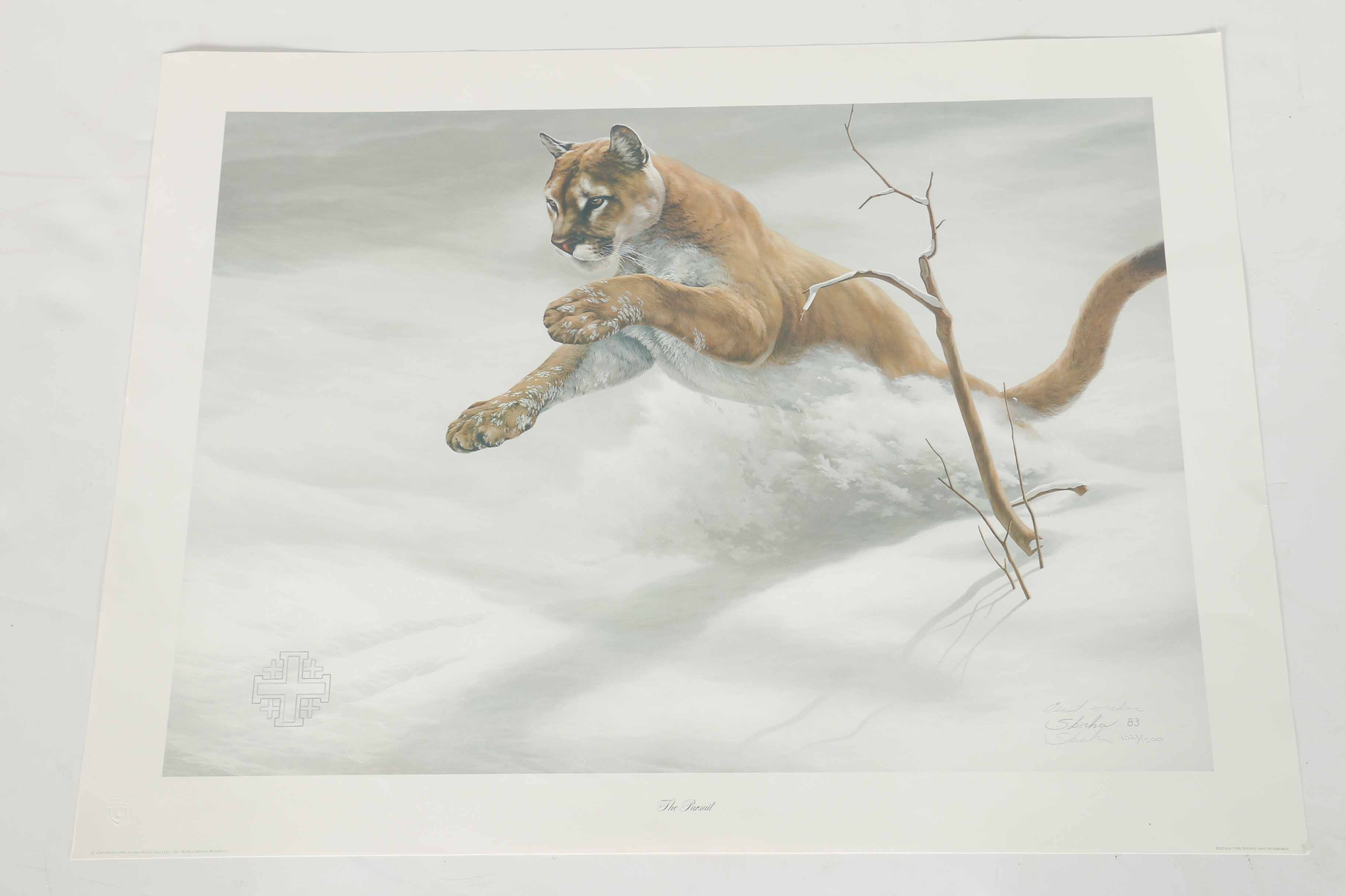 Peter Skirka Signed Limited Edition Big Cat Prints