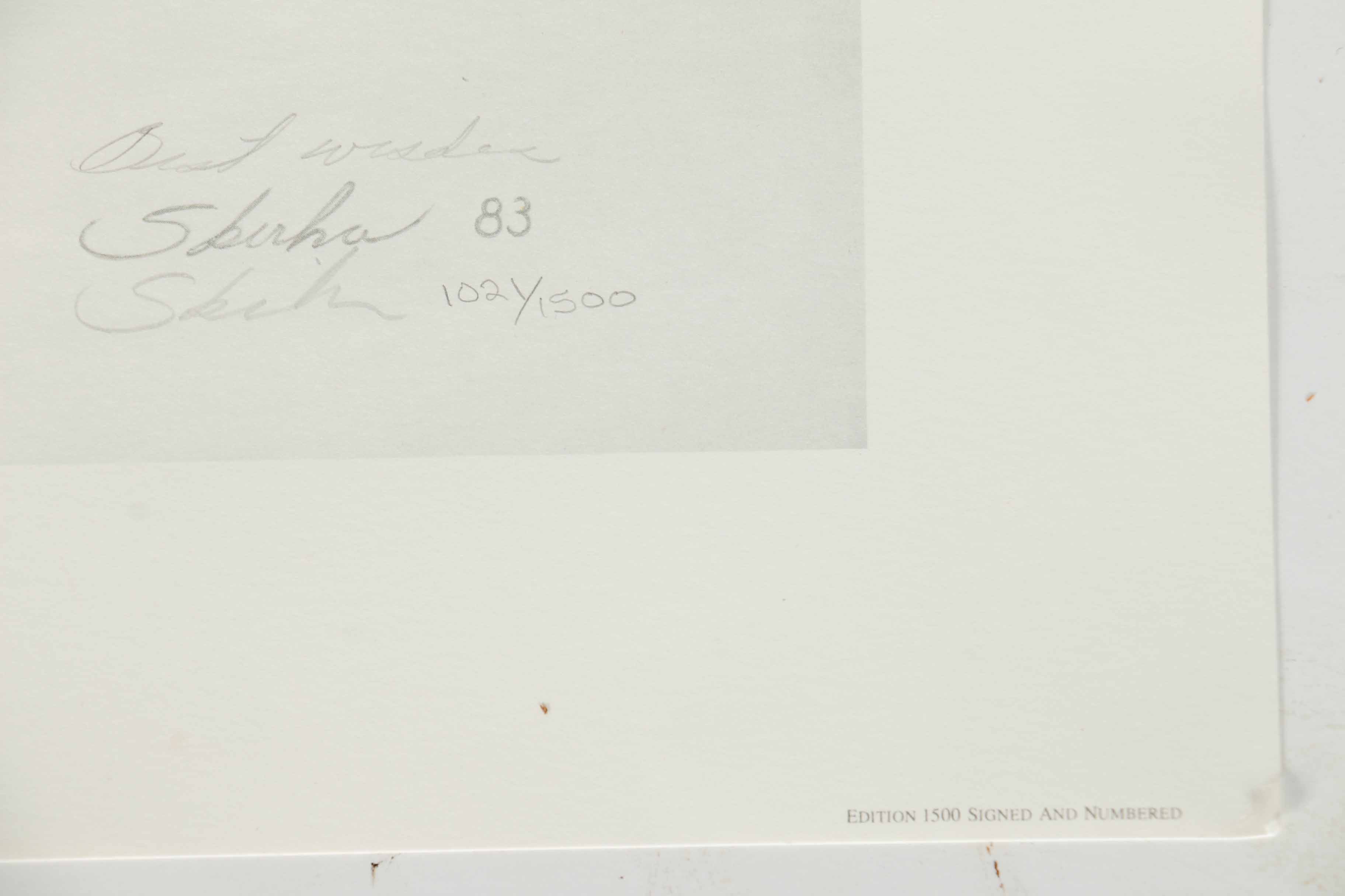 Peter Skirka Signed Limited Edition Big Cat Prints