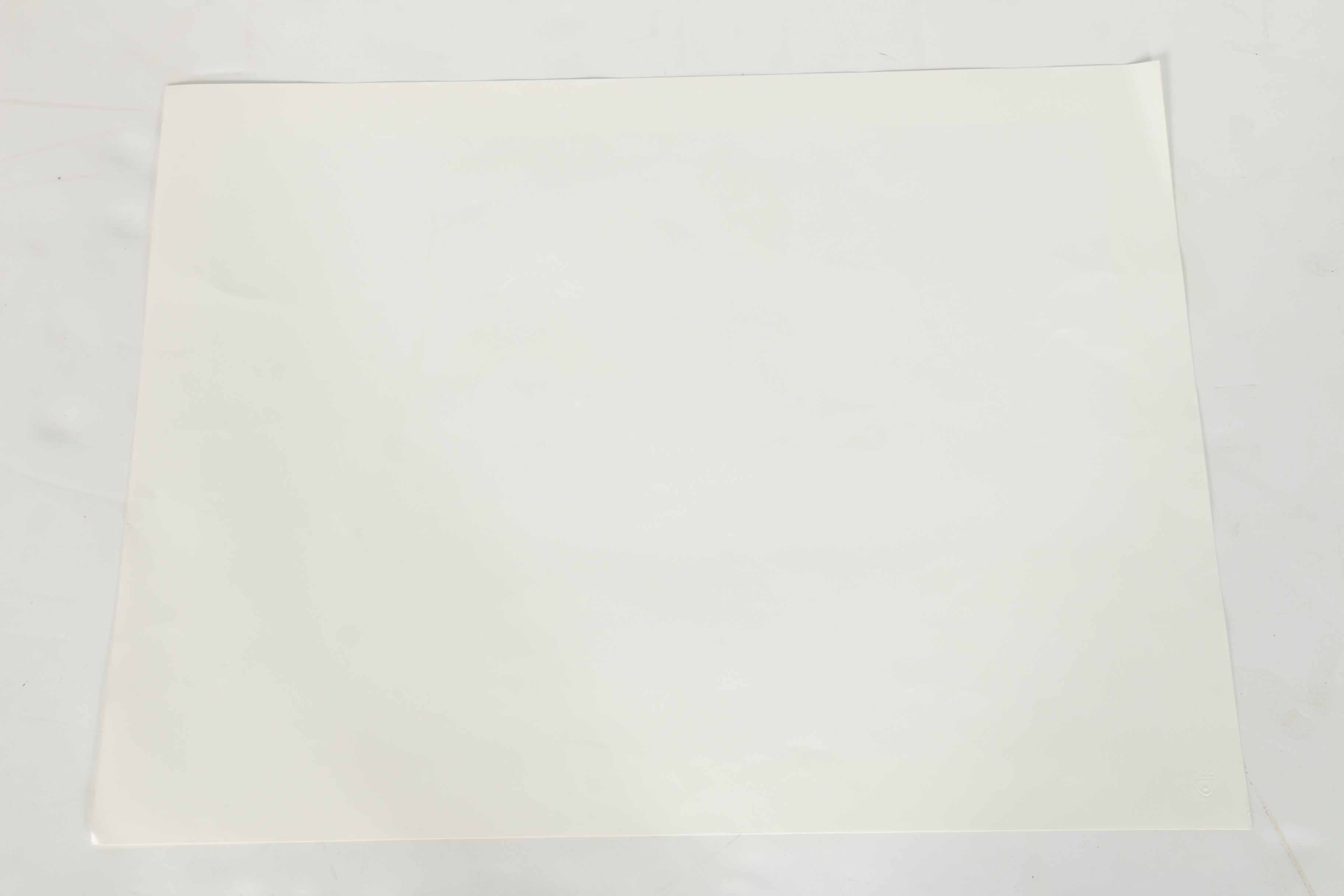 Peter Skirka Signed Limited Edition Big Cat Prints