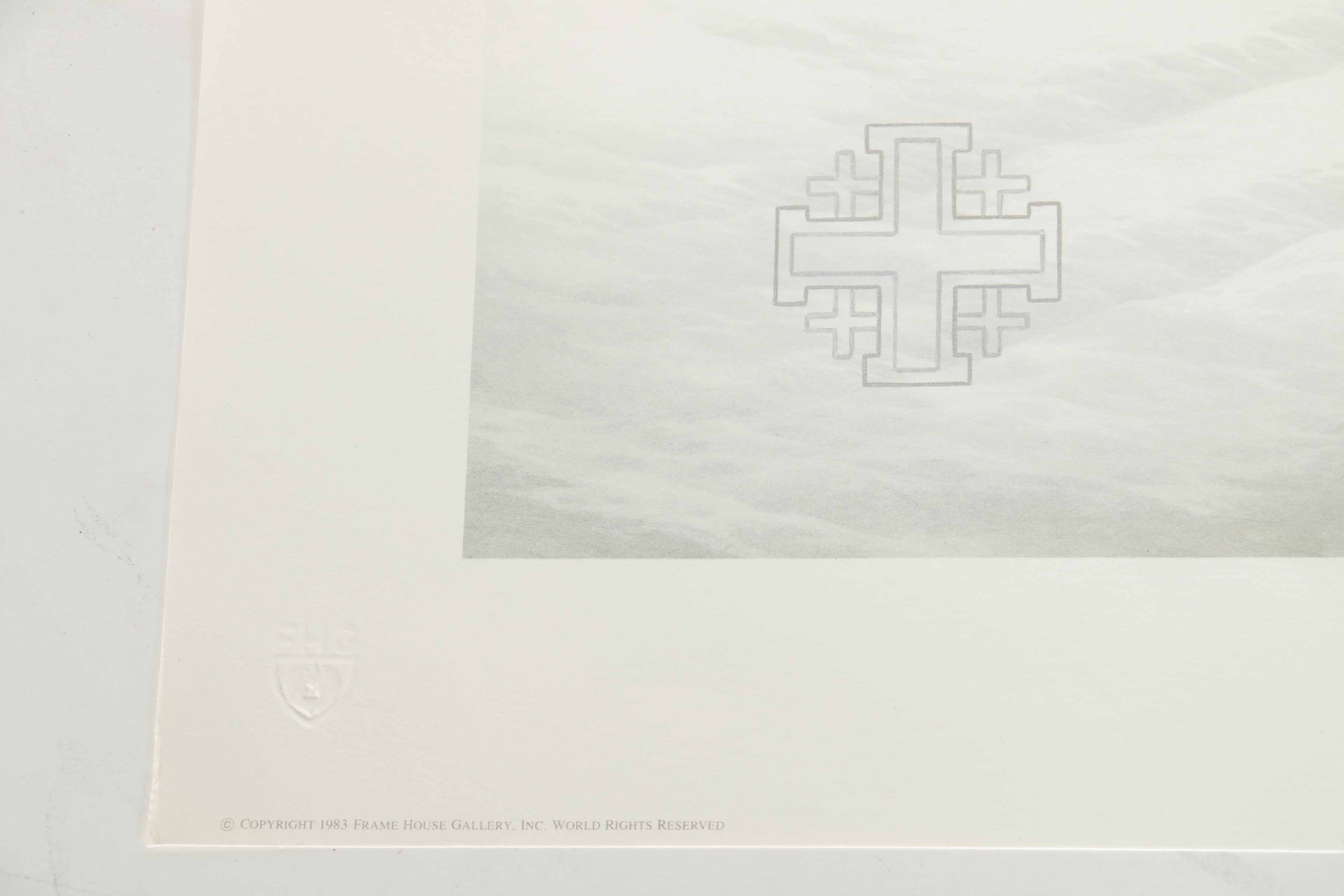 Peter Skirka Signed Limited Edition Big Cat Prints