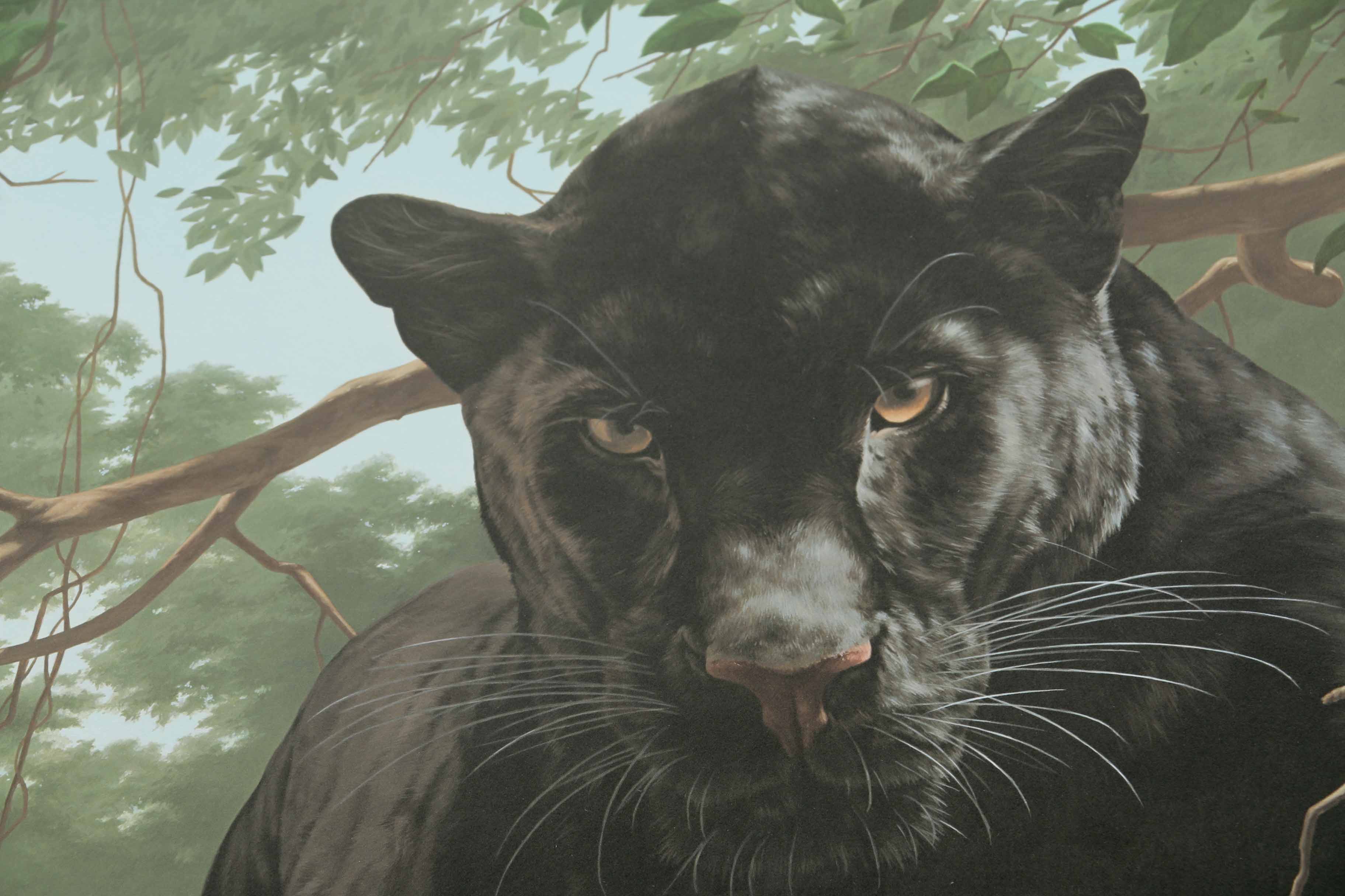 Peter Skirka Signed Limited Edition Big Cat Prints