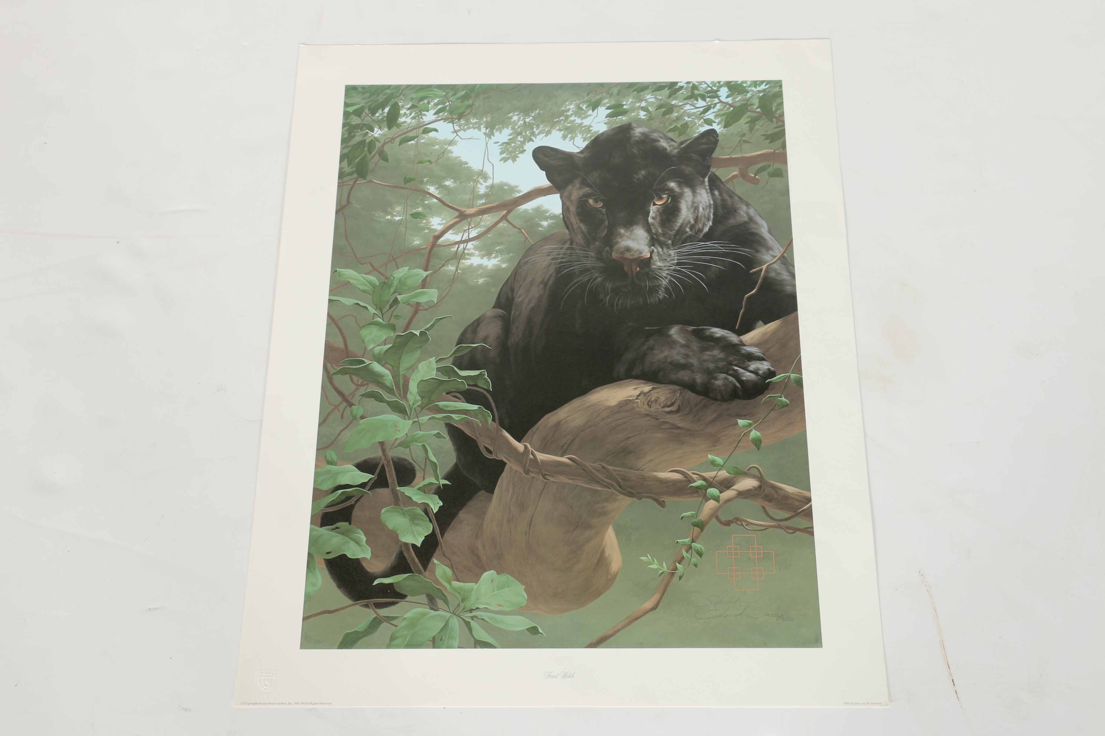 Peter Skirka Signed Limited Edition Big Cat Prints