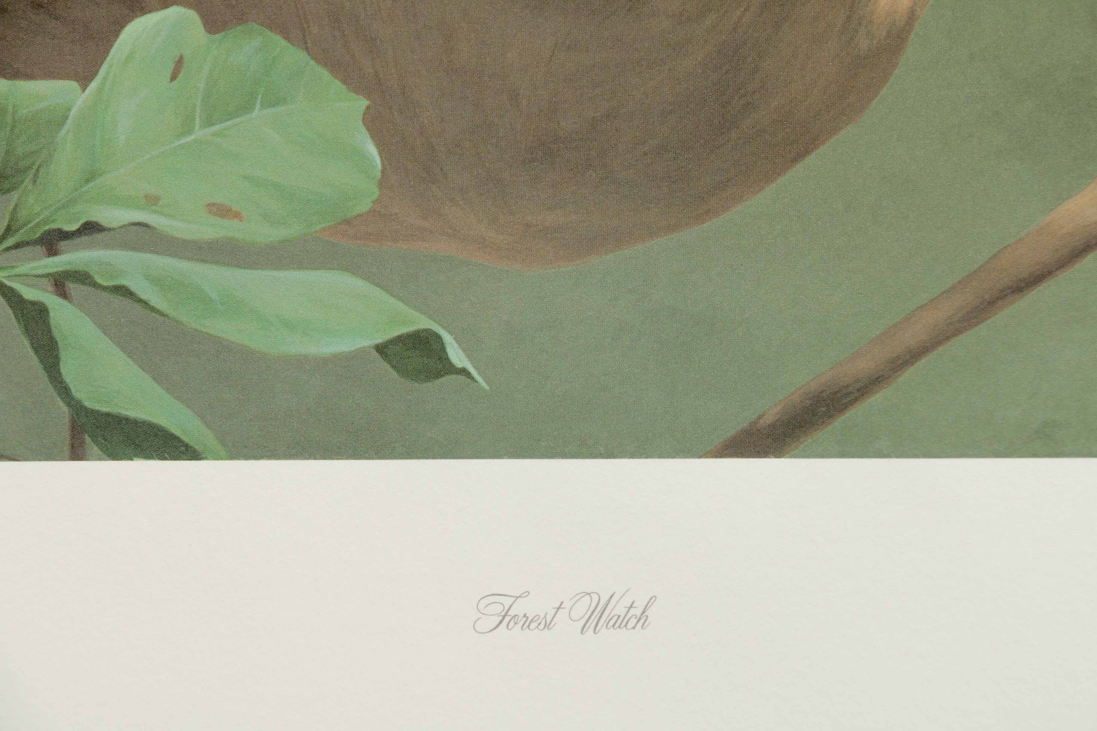 Peter Skirka Signed Limited Edition Big Cat Prints