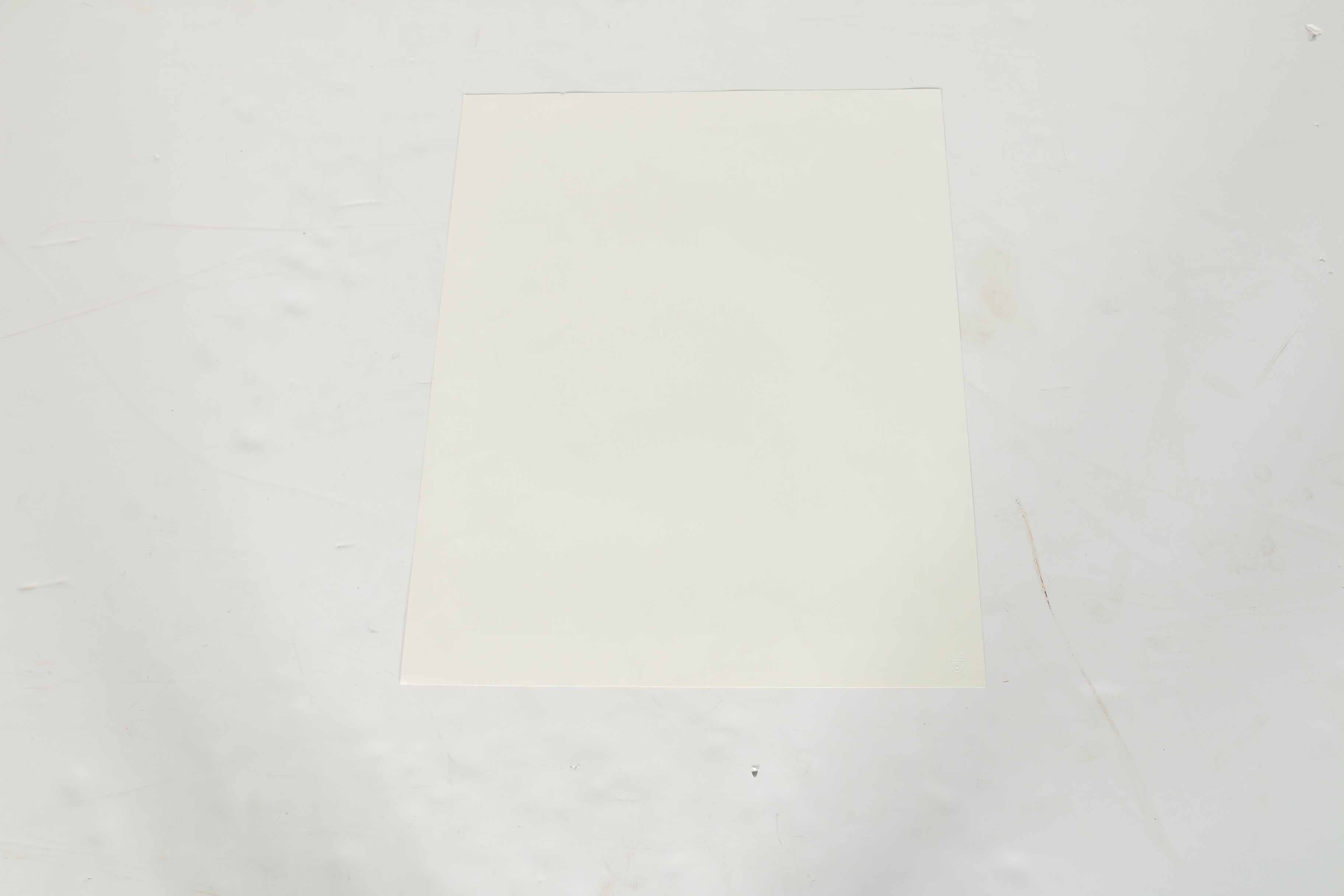 Peter Skirka Signed Limited Edition Big Cat Prints