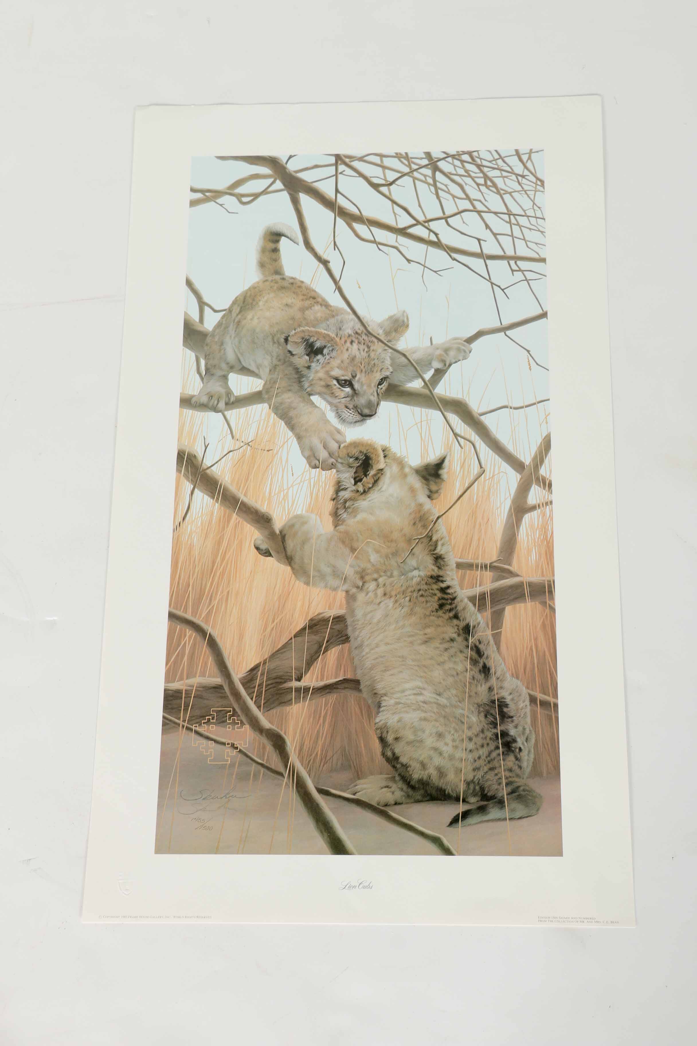 Peter Skirka Signed Limited Edition Big Cat Prints