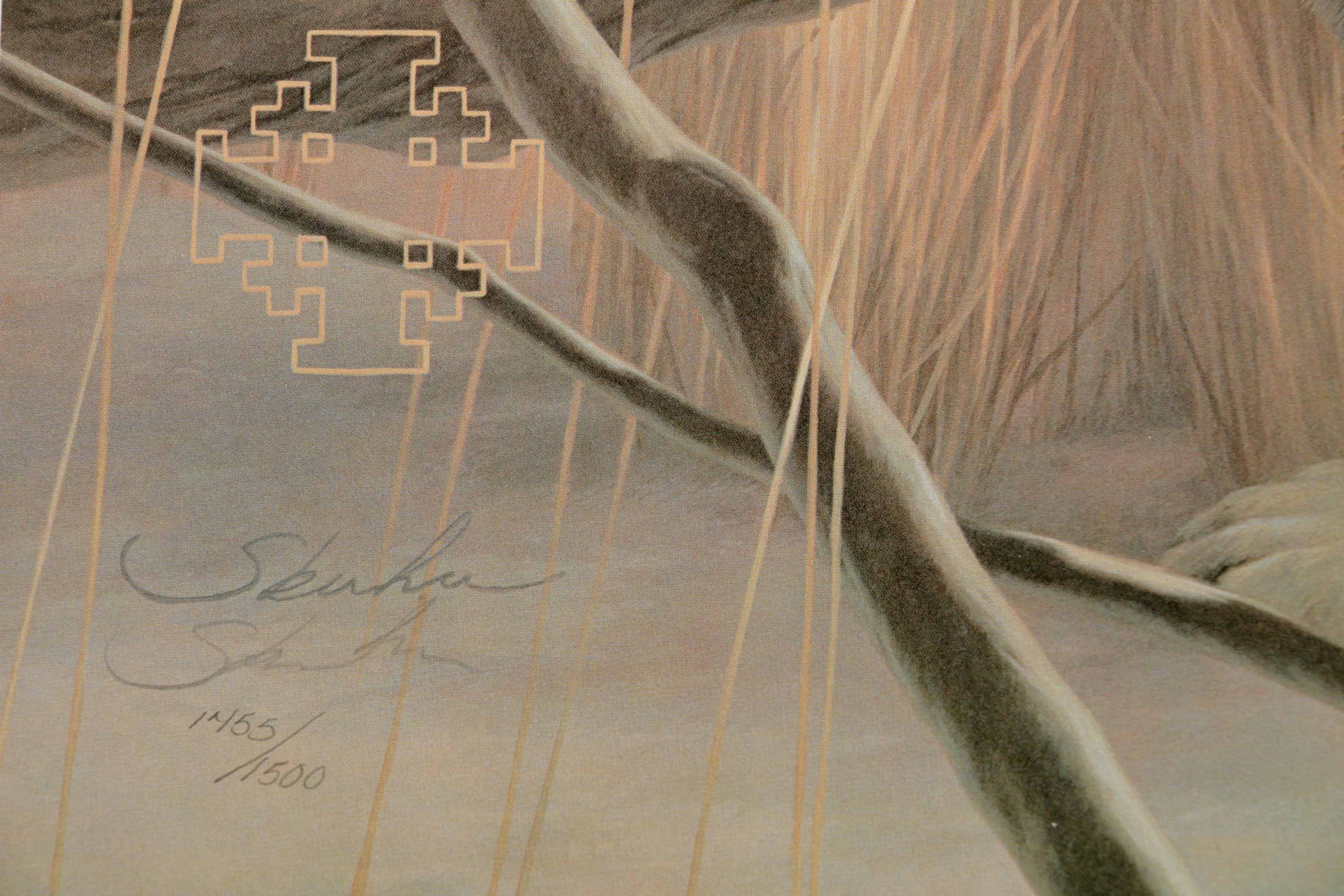 Peter Skirka Signed Limited Edition Big Cat Prints