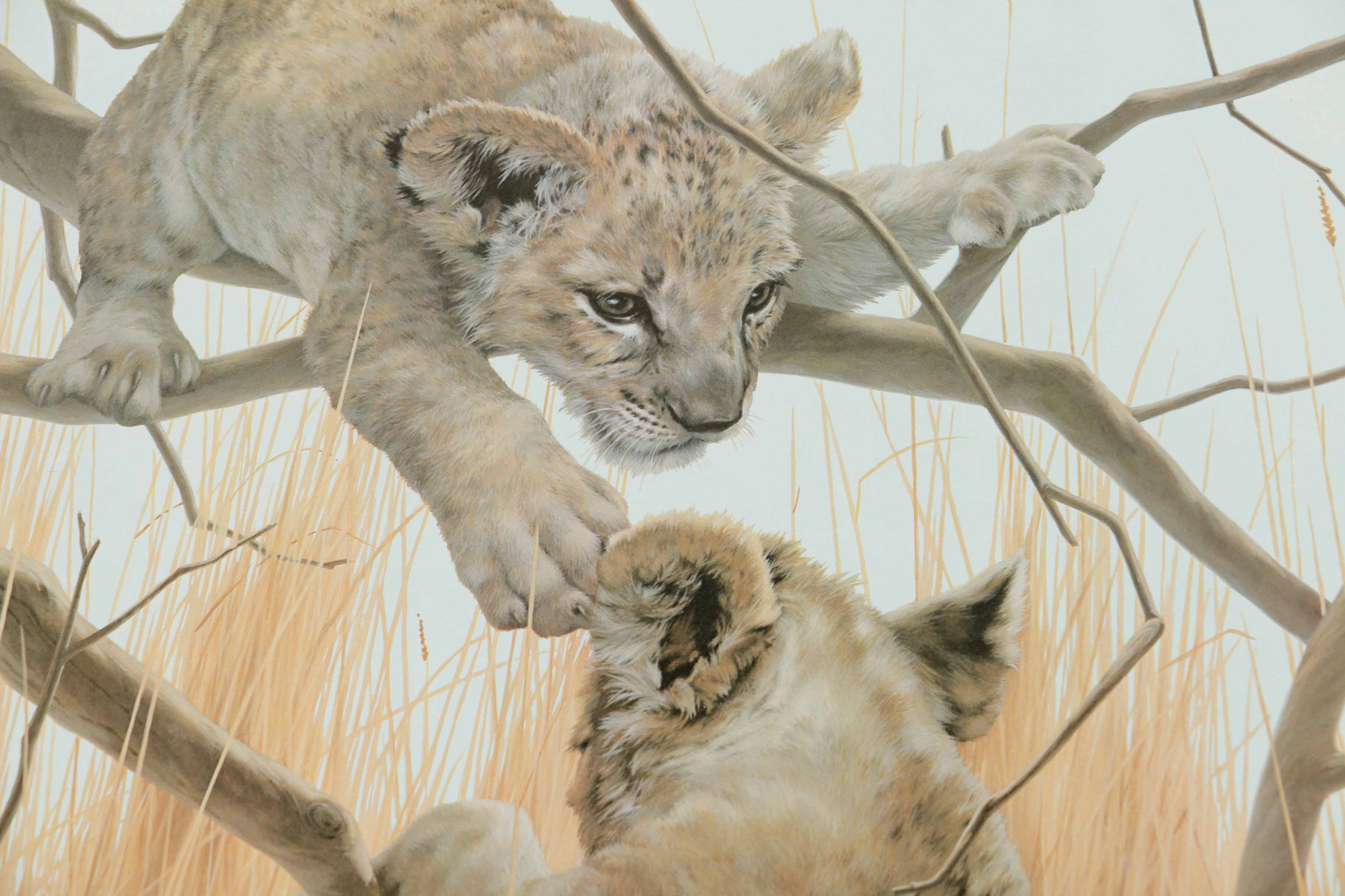 Peter Skirka Signed Limited Edition Big Cat Prints