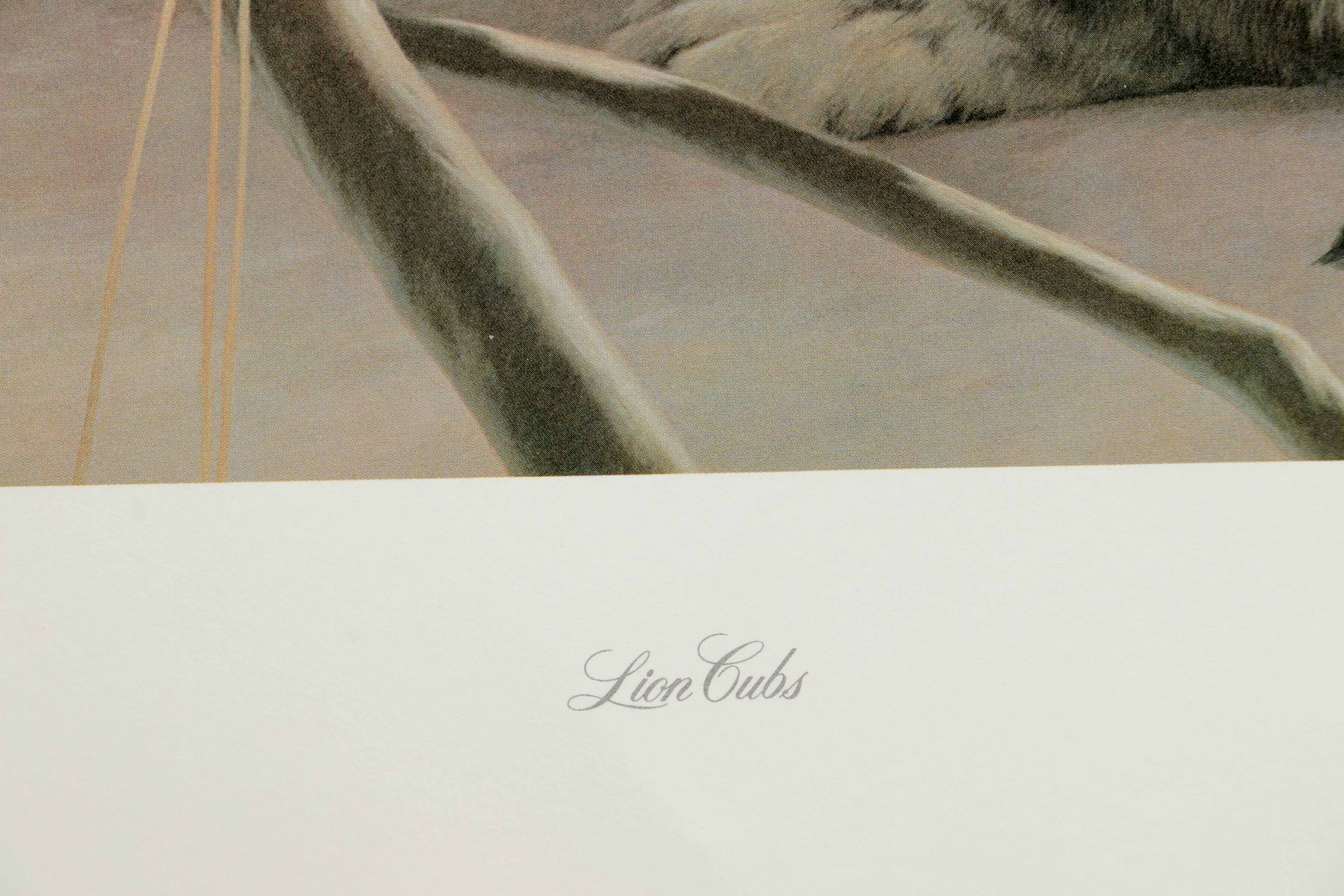 Peter Skirka Signed Limited Edition Big Cat Prints