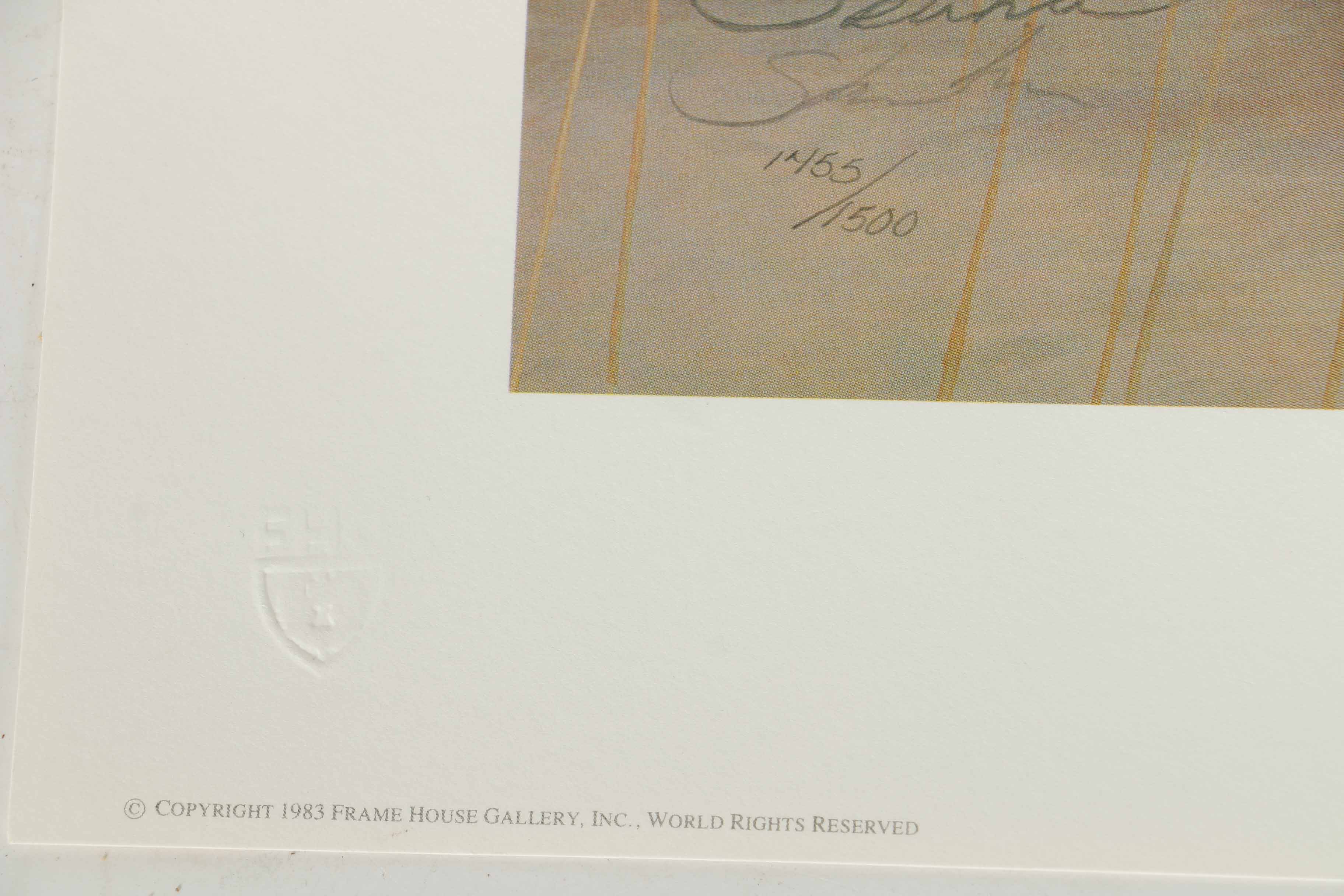 Peter Skirka Signed Limited Edition Big Cat Prints