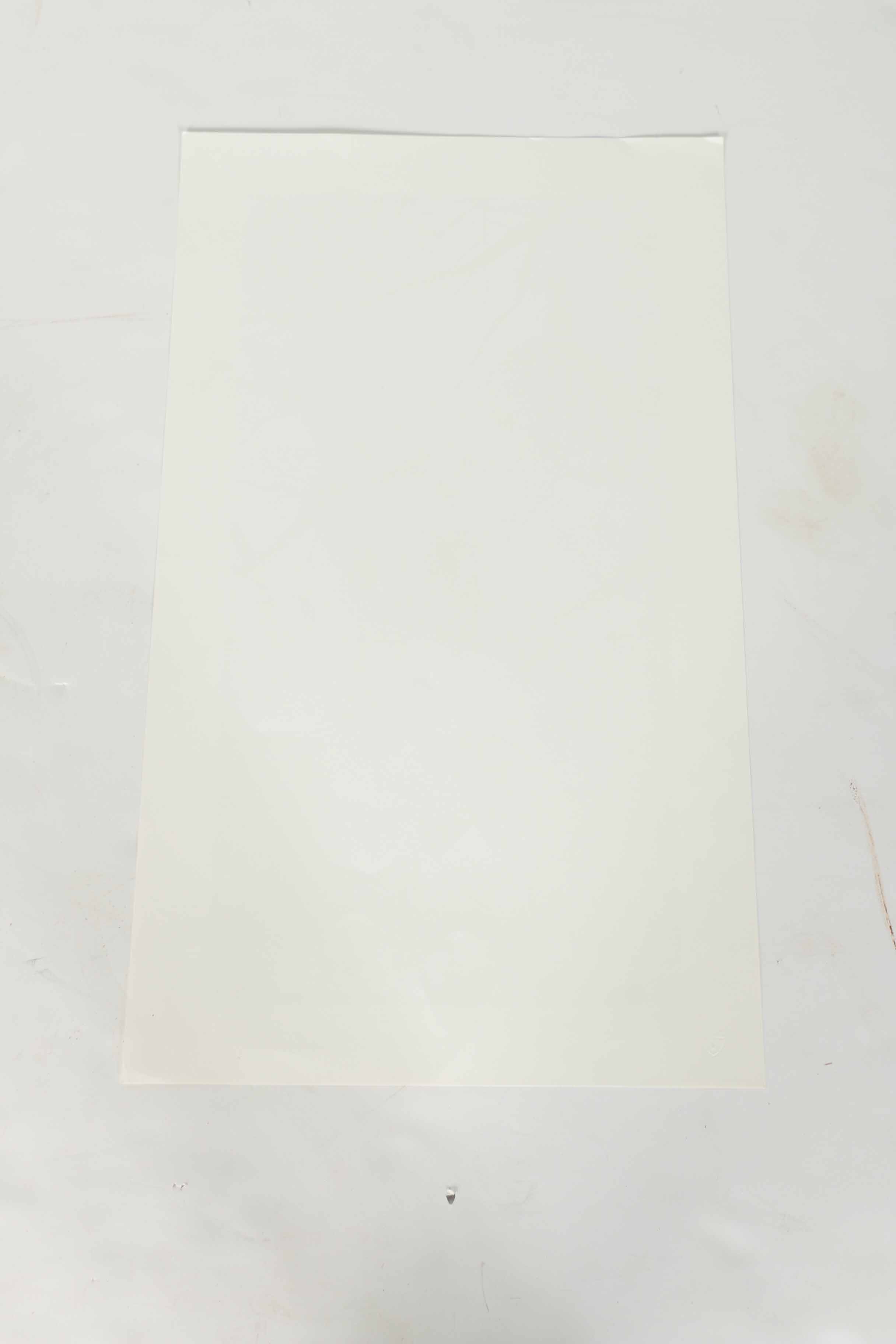 Peter Skirka Signed Limited Edition Big Cat Prints