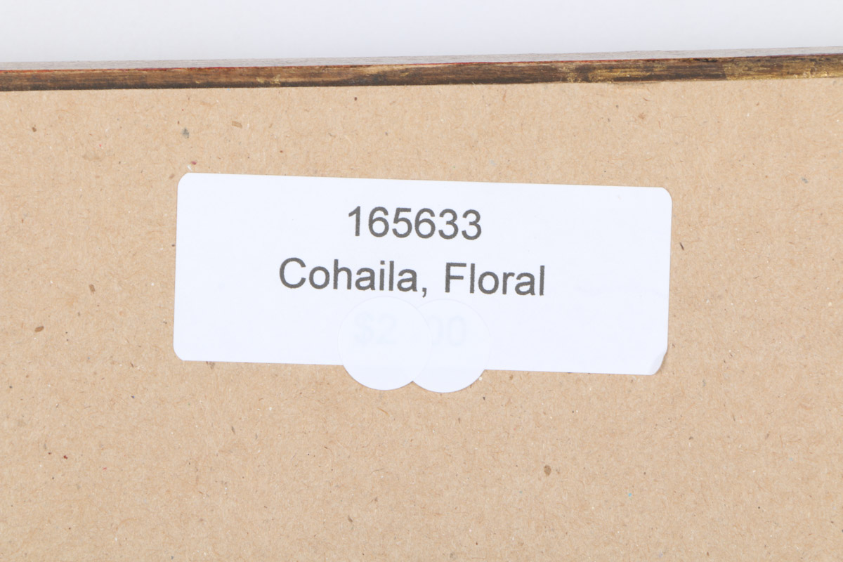 Eugenio Cohaila Oil Painting on Canvas "Flowers"