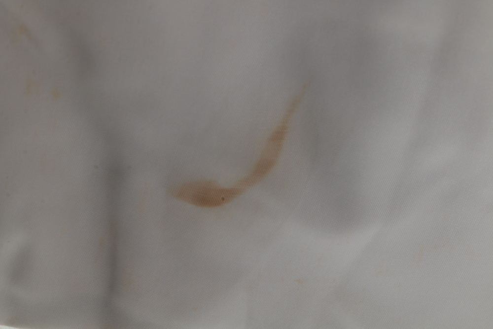 Saga Fox Norwegian Fox Fur Jacket