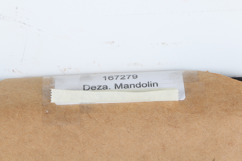 Ana Maria Deza Oil Painting on Canvas "Mandolin Still Life"