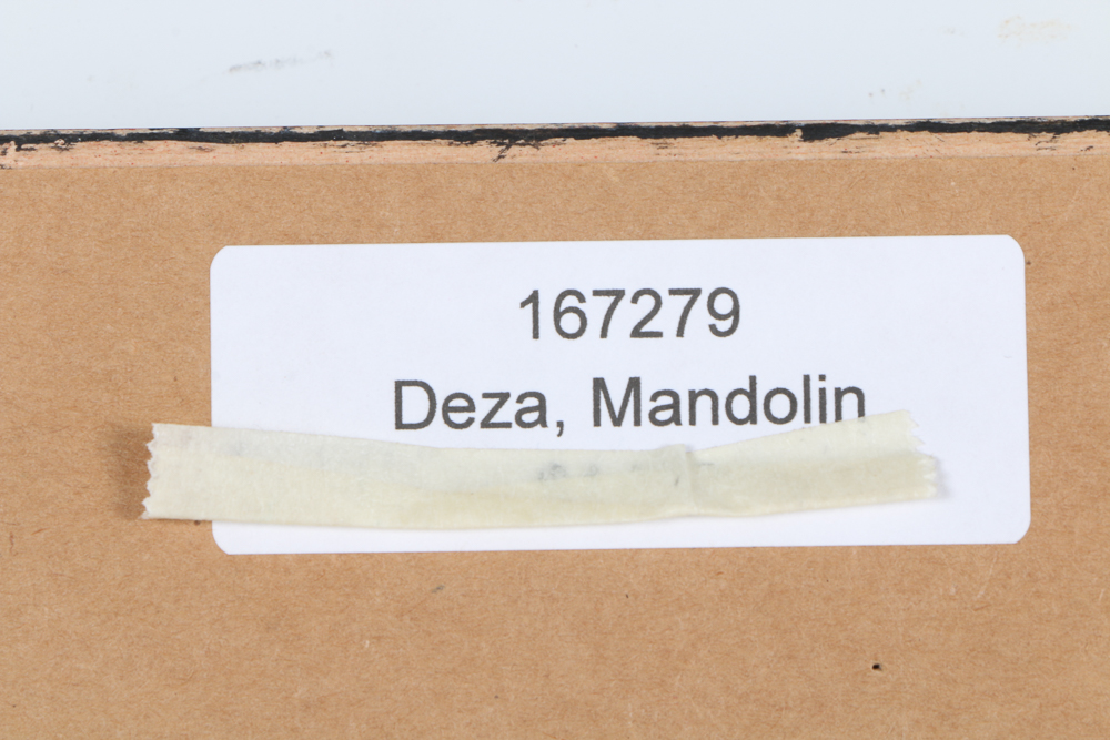 Ana Maria Deza Oil Painting on Canvas "Mandolin Still Life"