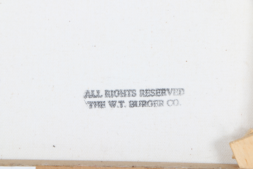 Ana Maria Deza Oil Painting on Canvas "Mandolin Still Life"