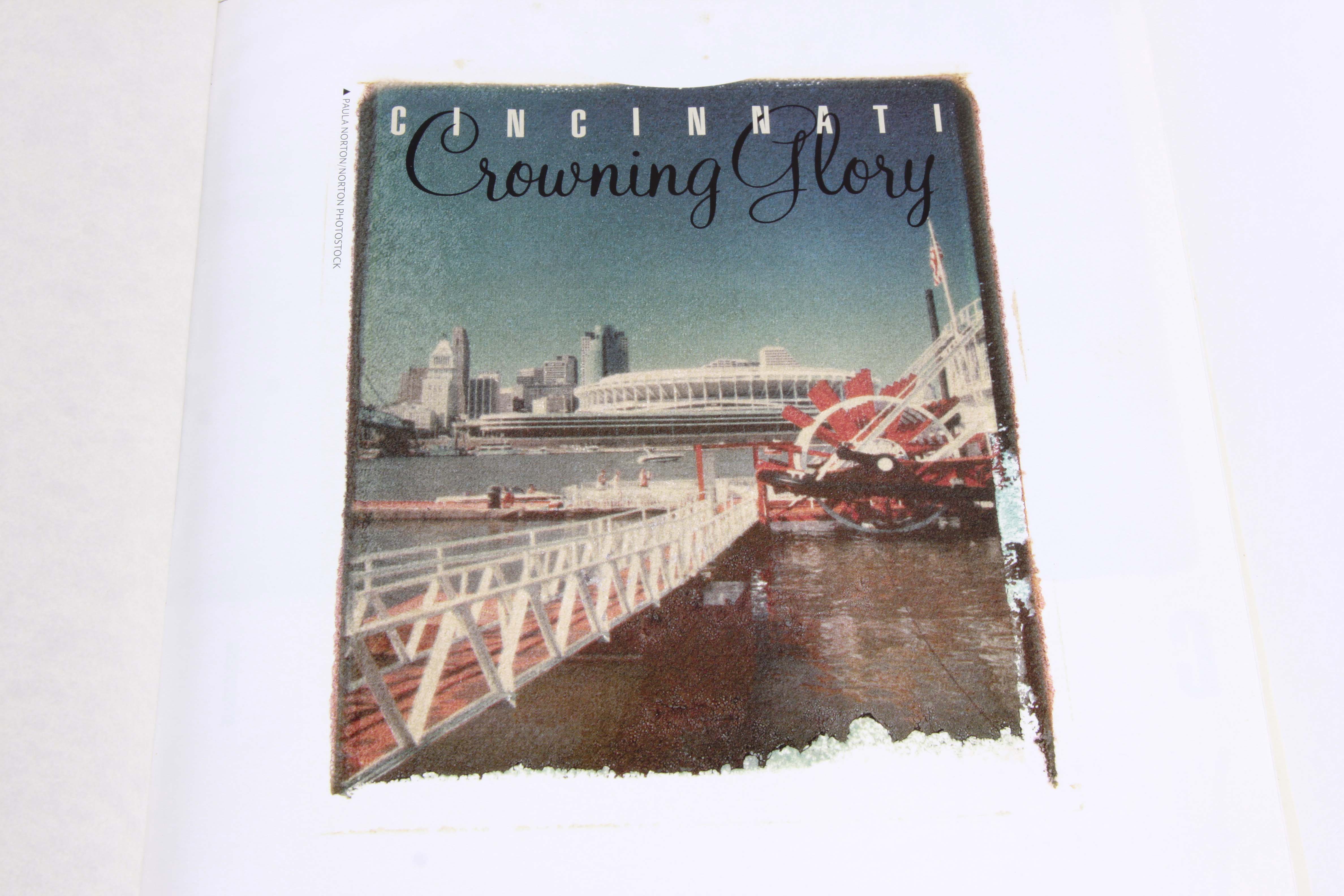 Cincinnati Themed Book Assortment