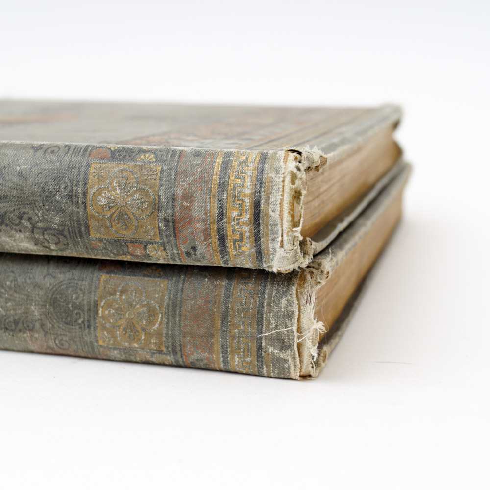 Antique Travel Book Collection