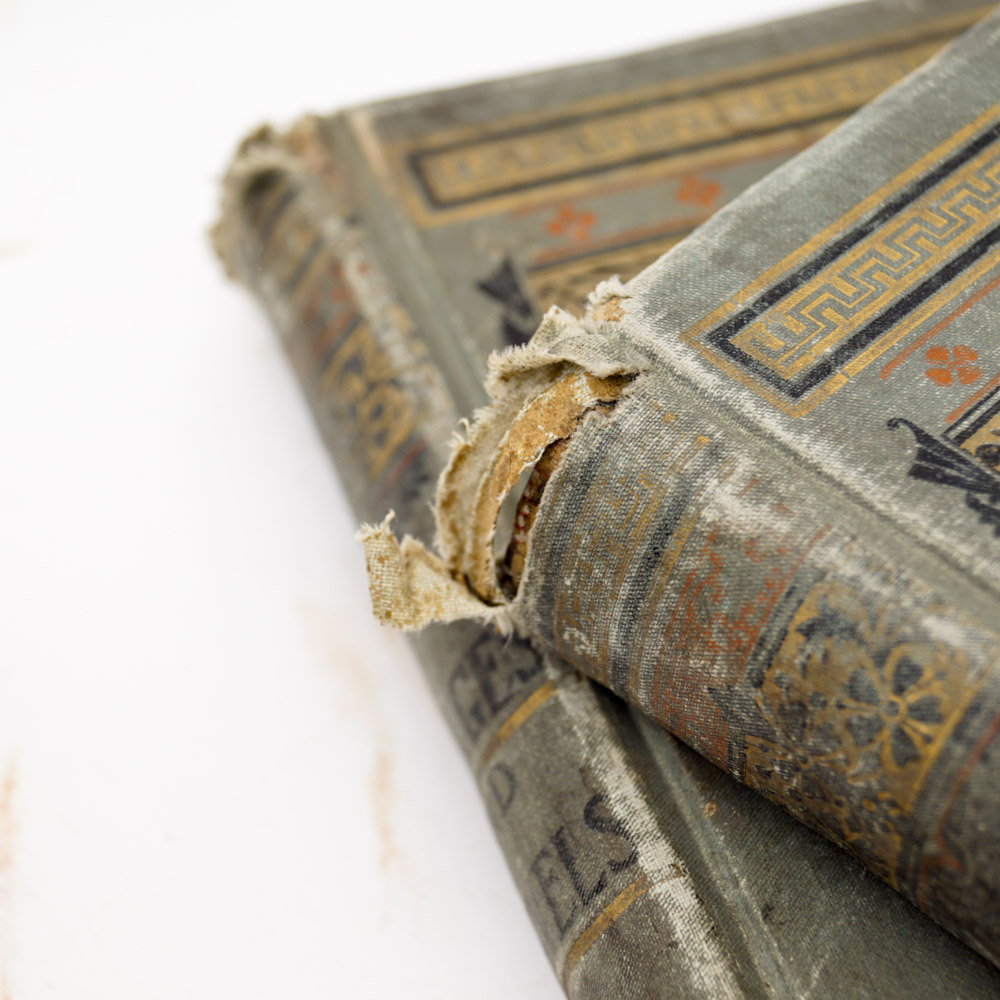 Antique Travel Book Collection