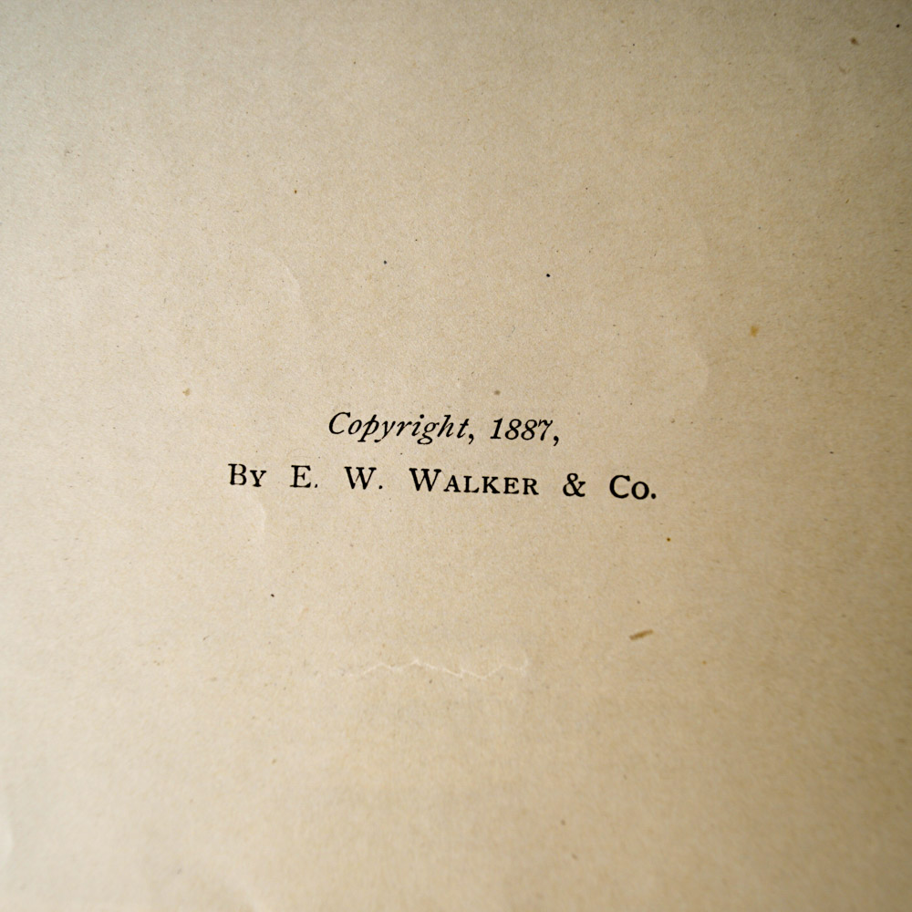 Antique Travel Book Collection