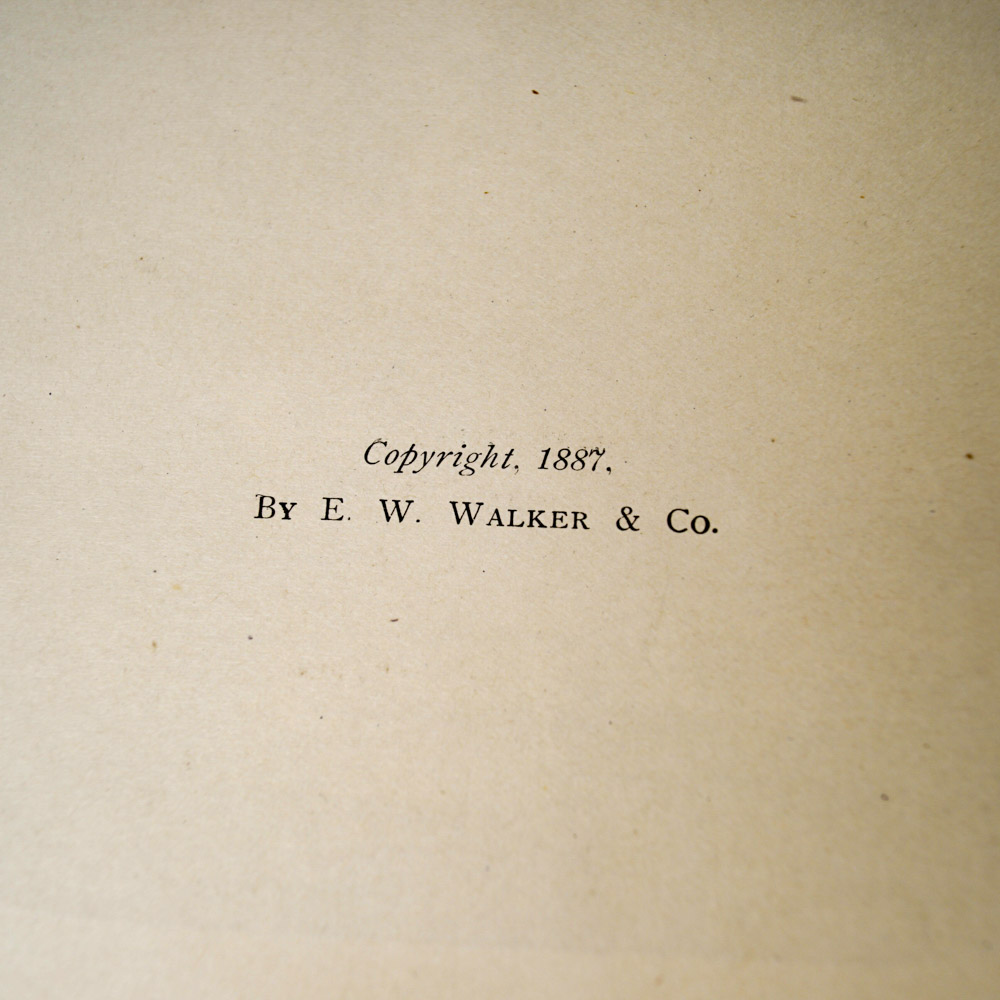 Antique Travel Book Collection