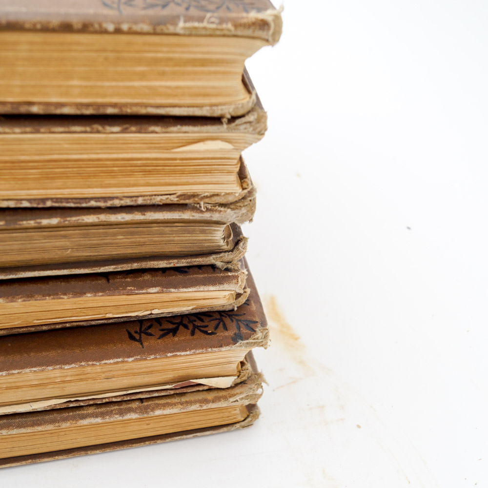 Antique Travel Book Collection