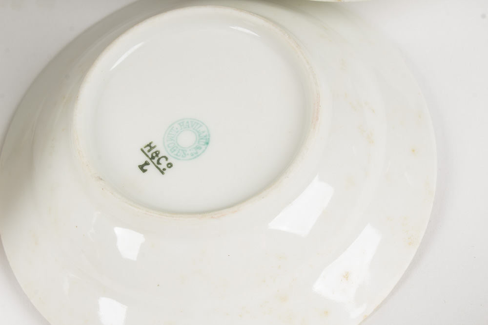 Haviland Limoge Porcelain Tableware Set