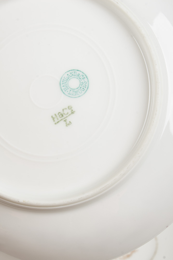 Haviland Limoge Porcelain Tableware Set