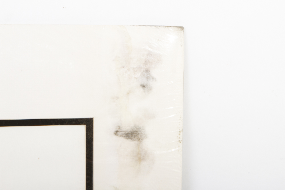 Barry Gordon Limited Edition Serigraph "A Song of Note"