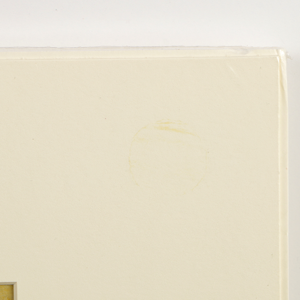 Carol Zimmerman Watercolor on Paper "Promise of Spring"