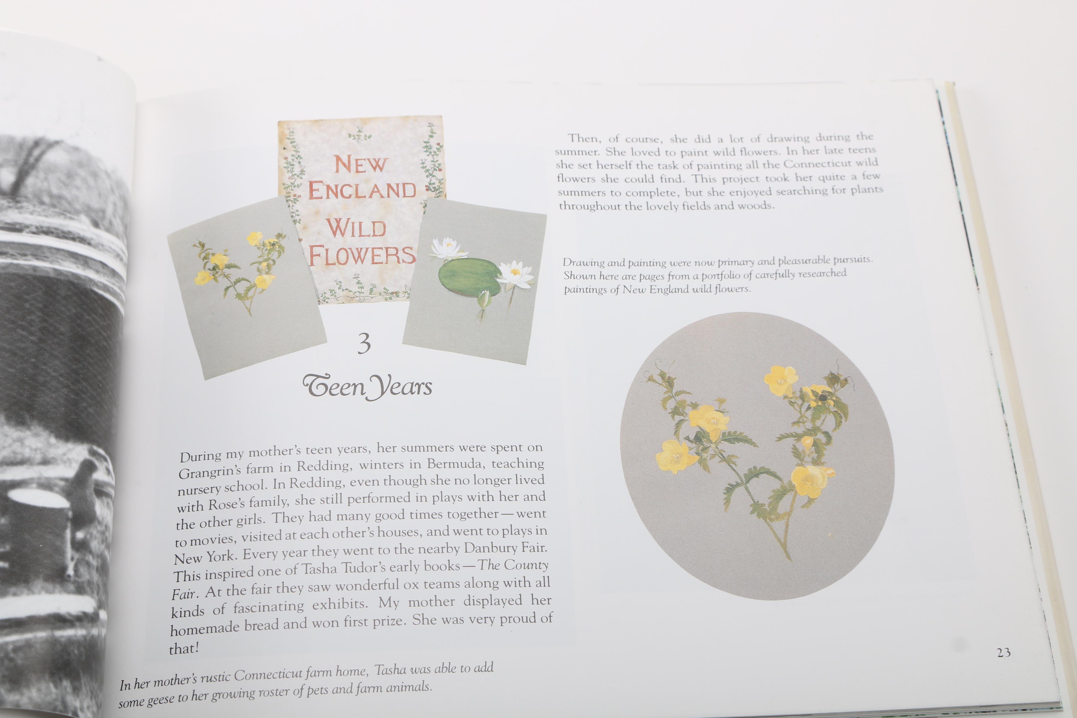 Bethany Tudor Book on Tasha Tudor and Handmade Owl Figurine