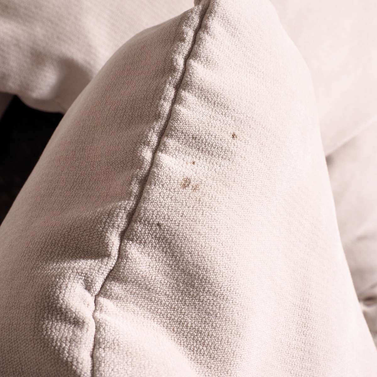 "Pauline" Sofa by Z Gallerie