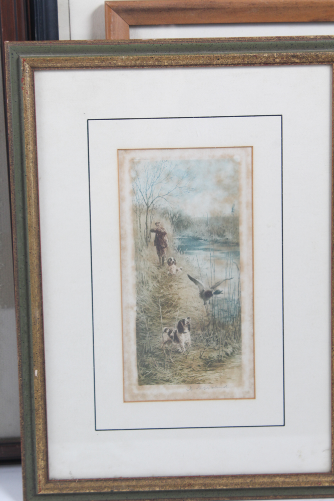 Collection of Framed Wild Animal Artworks