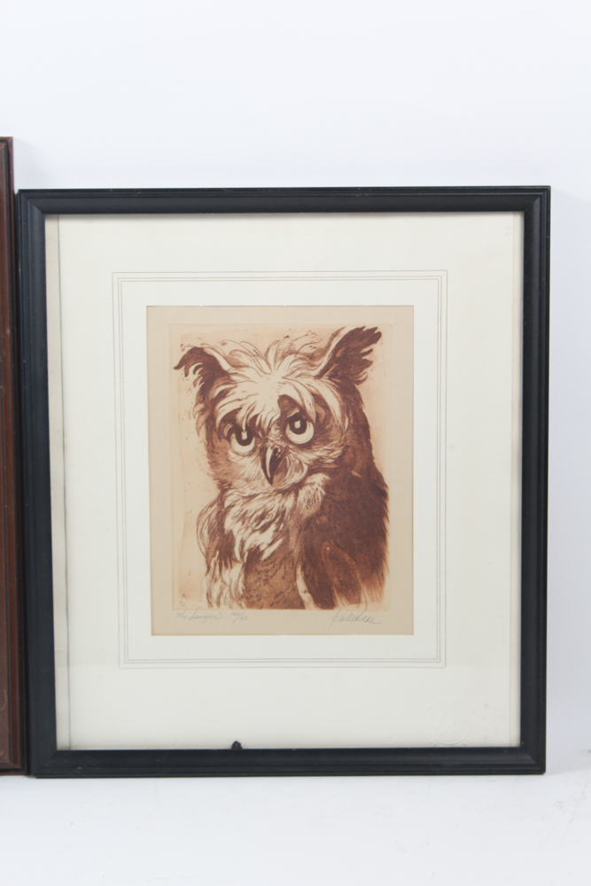 Collection of Framed Wild Animal Artworks