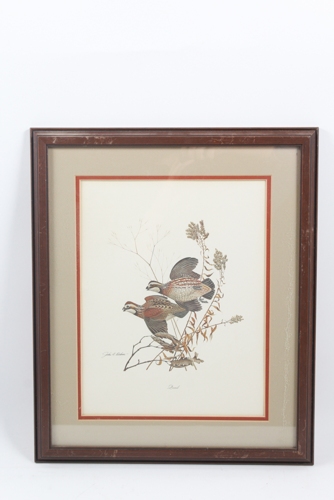 Collection of Framed Wild Animal Artworks