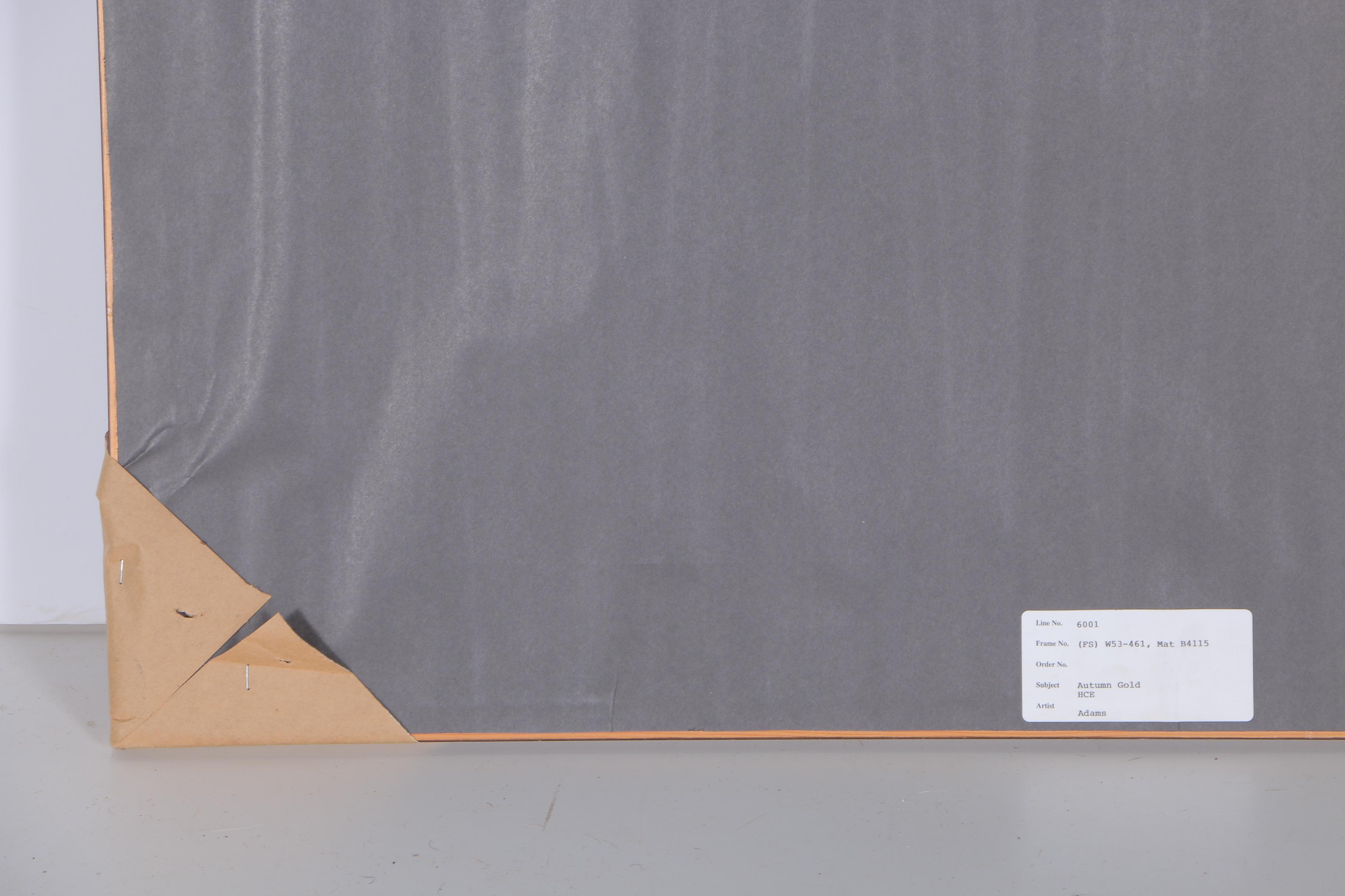 After Douglas Adams Lithograph on Paper "Autumn Gold"