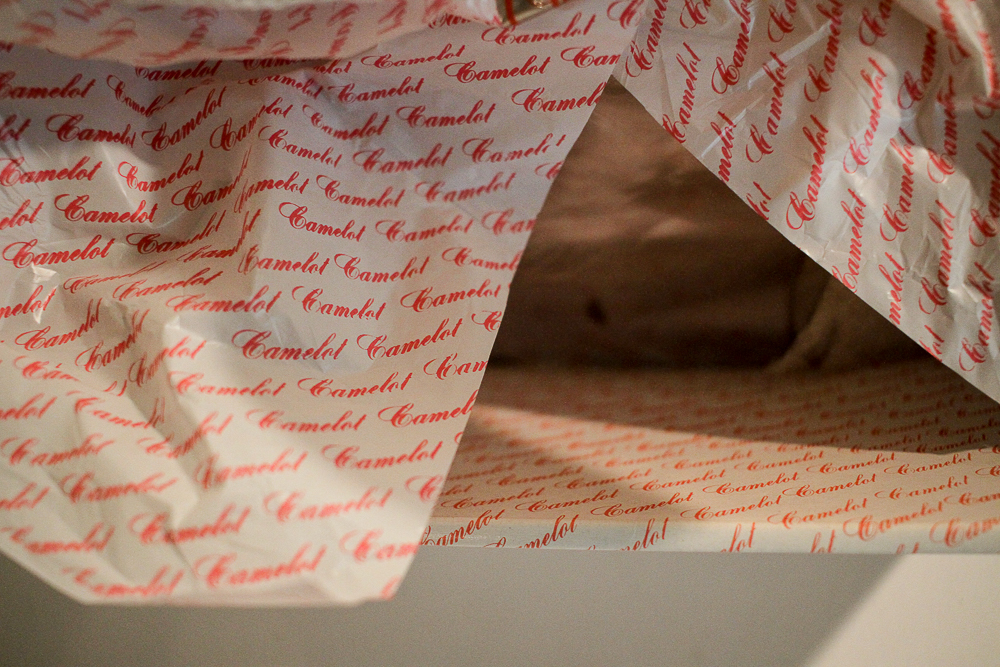 Camelot Porcelain Dolls