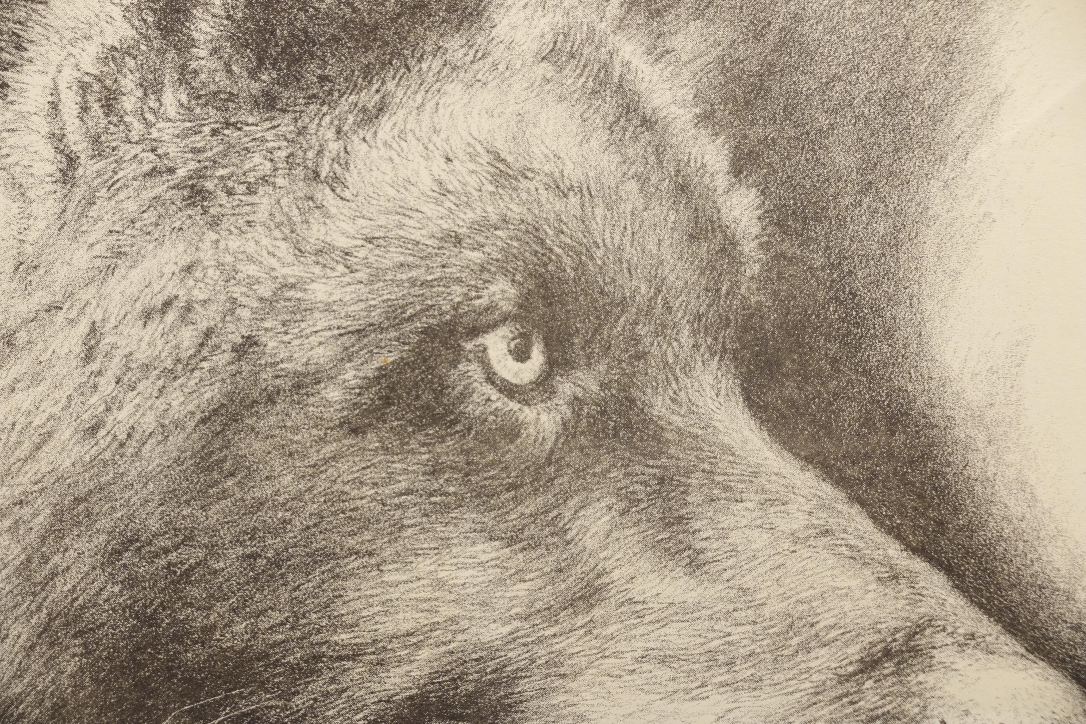 Paul Soffron Lithographs of Wolves