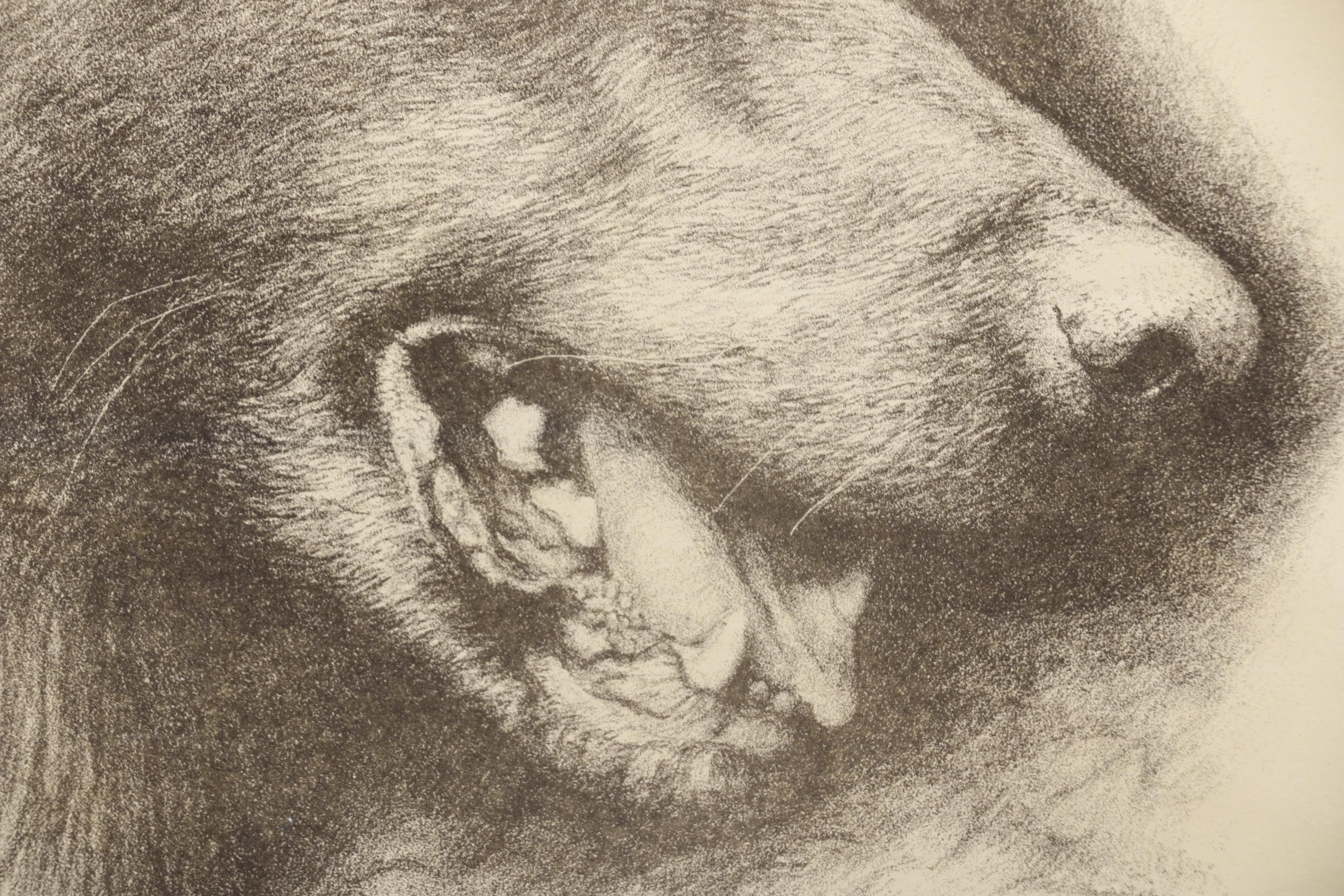 Paul Soffron Lithographs of Wolves