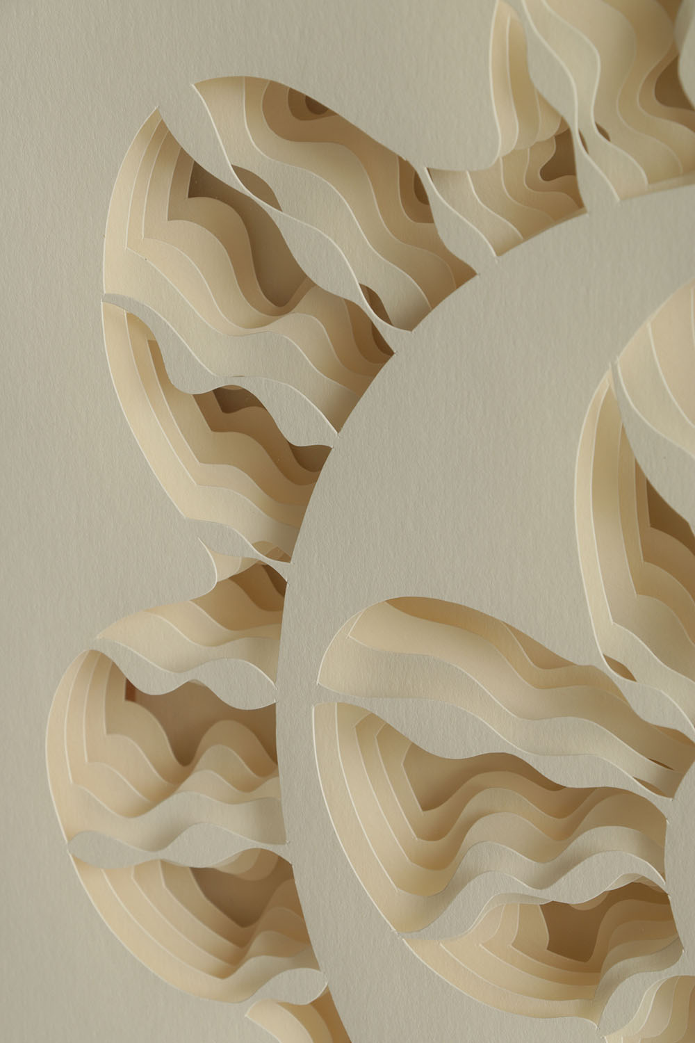 Nancy Muller Limited Edition Cut Paper oPit "Cephalopodia"