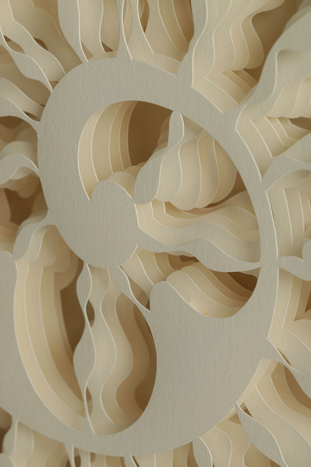 Nancy Muller Limited Edition Cut Paper oPit "Cephalopodia"