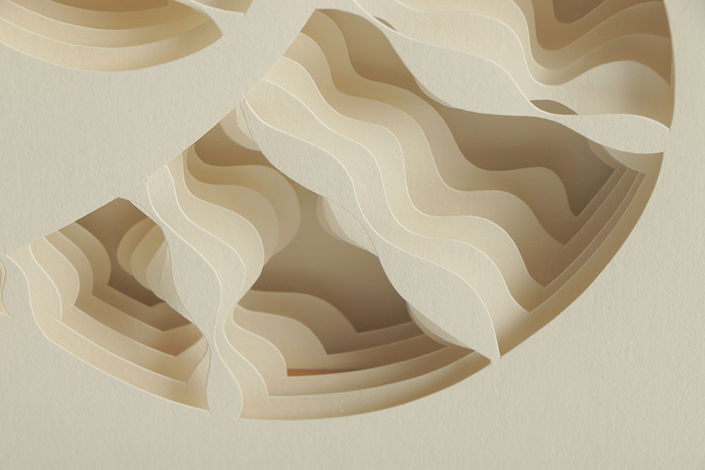 Nancy Muller Limited Edition Cut Paper oPit "Cephalopodia"