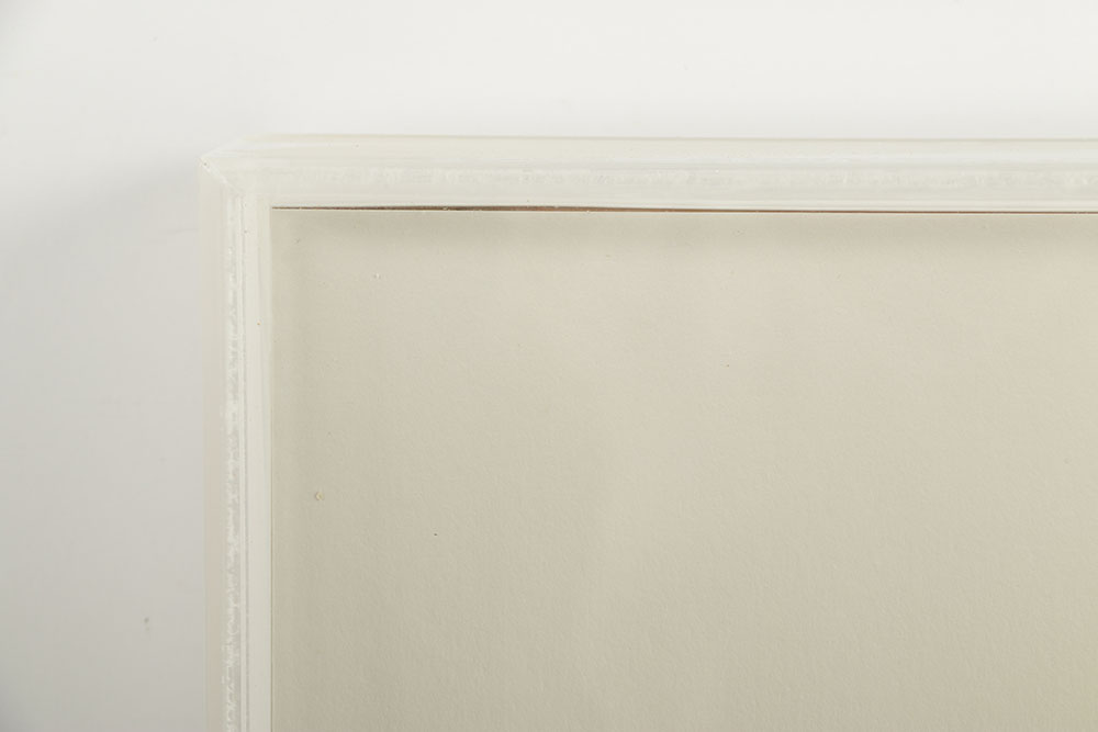 Nancy Muller Limited Edition Cut Paper oPit "Cephalopodia"