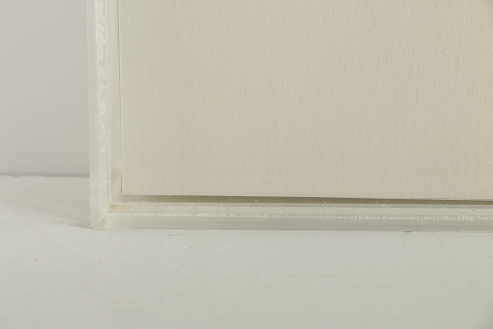 Nancy Muller Limited Edition Cut Paper oPit "Cephalopodia"