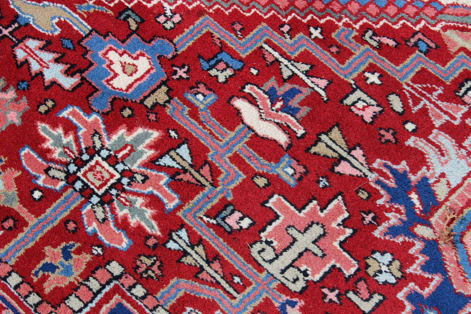 Hand Knotted Indian "Ardabil" Room Size Rug