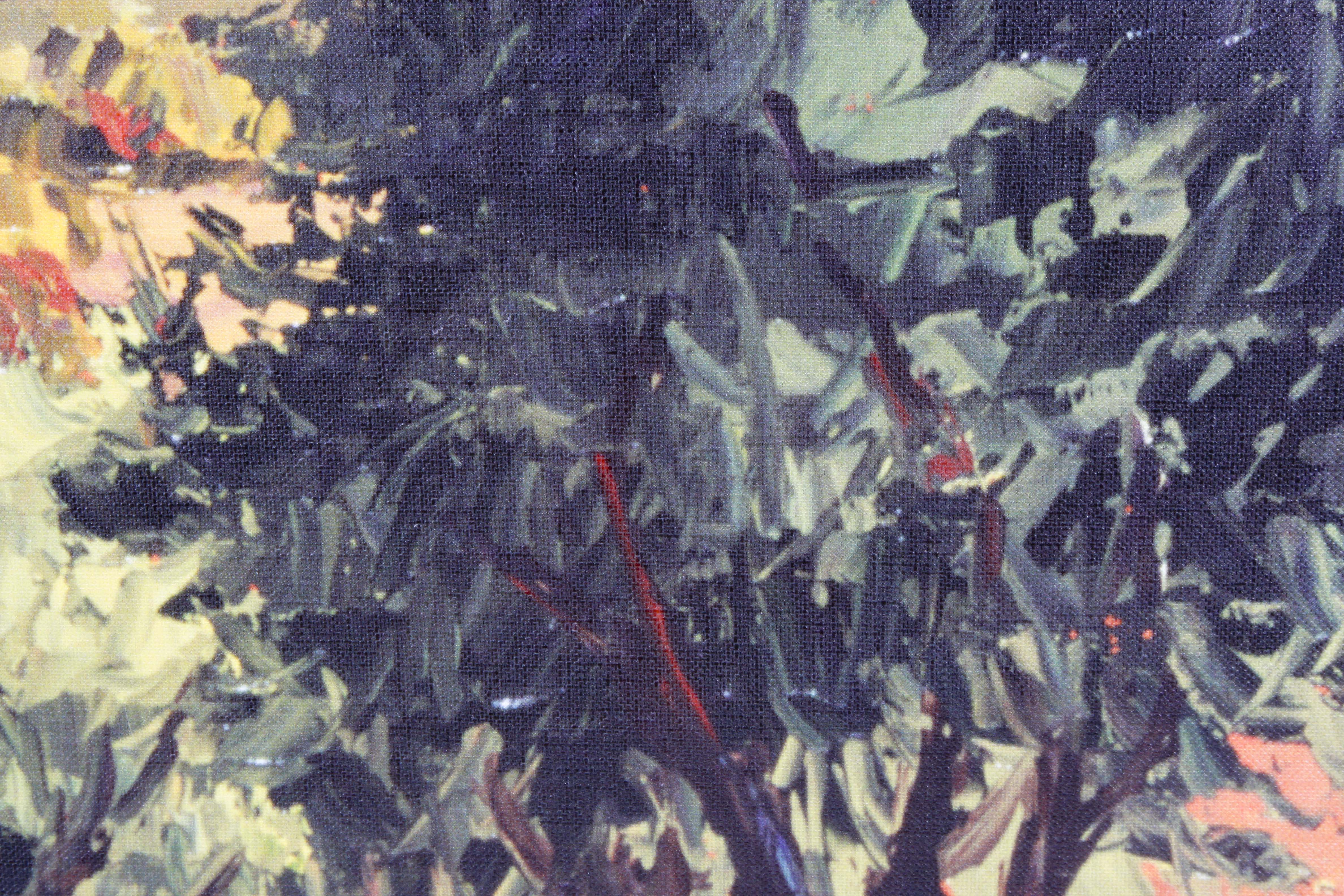 Giclee on Canvas Collection