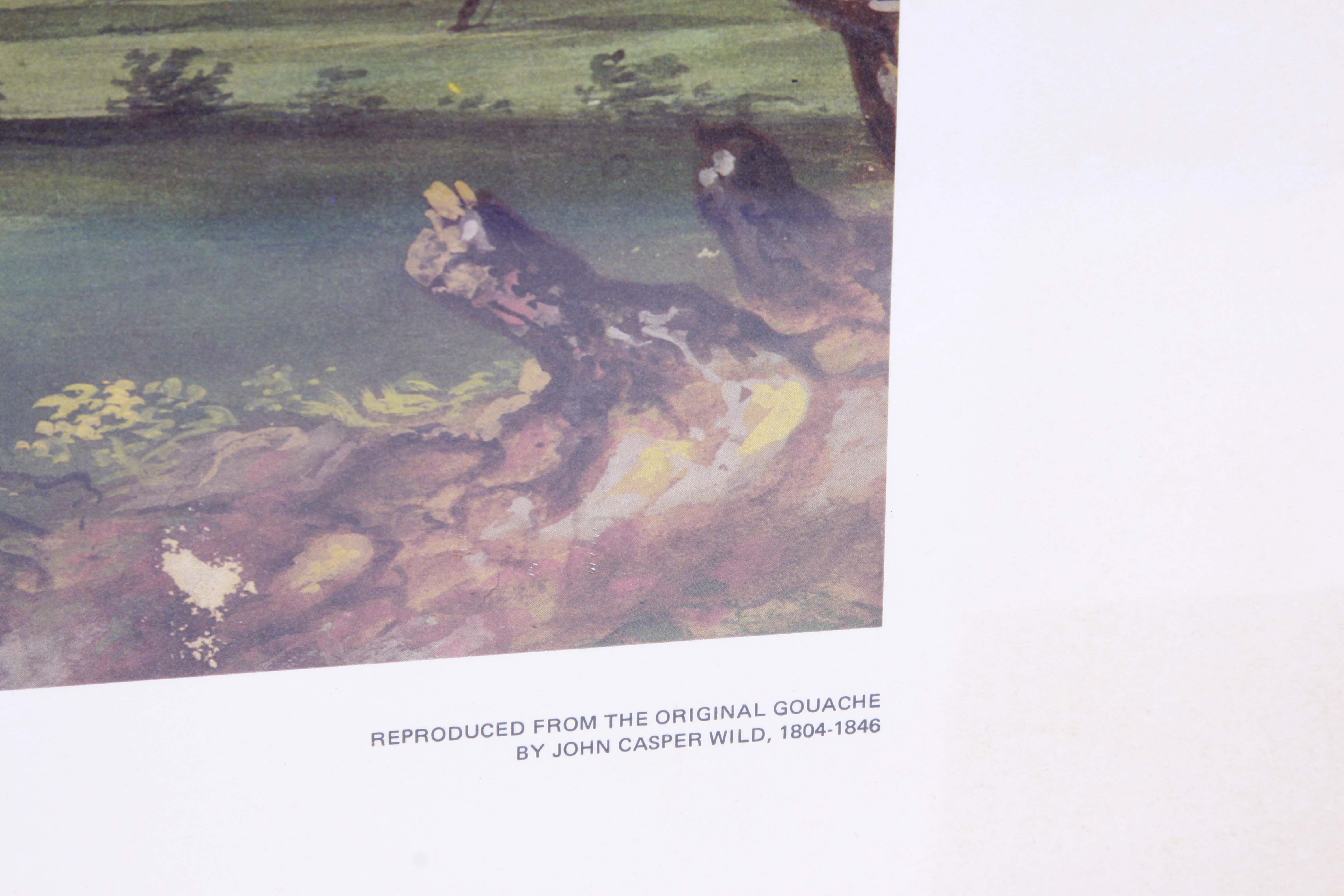 John Casper Wild Limited Edition Offset Lithograph