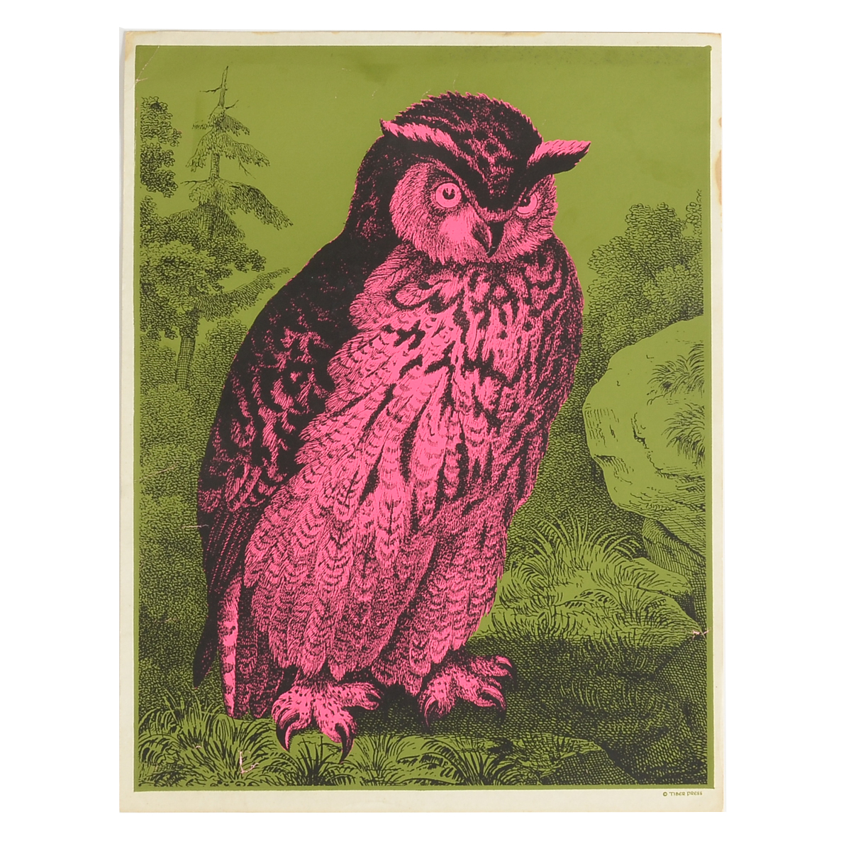 Tiber Press 1969 Serigraph "Mr. Owl"