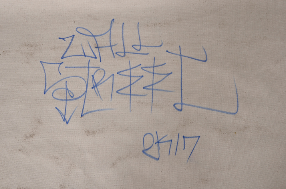 Wall Street Original Large-Scale 2017 Mixed Media Street Art on Unstretched Canvas "Protect Earth"