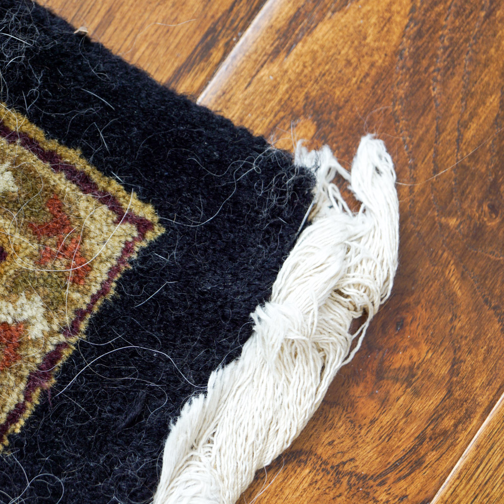 Gold and Black Area Rug